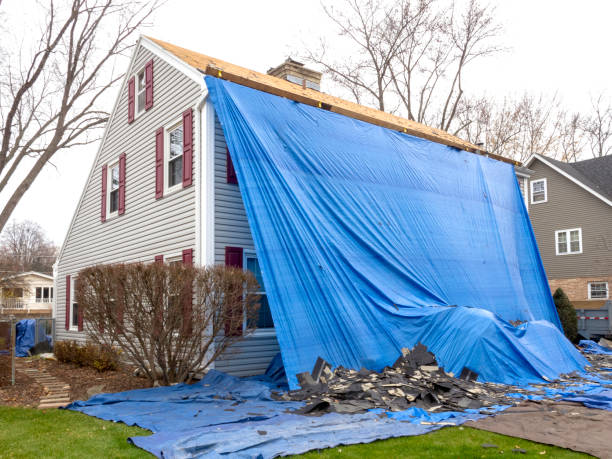 Best Siding for New Construction  in Fort Deposit, AL