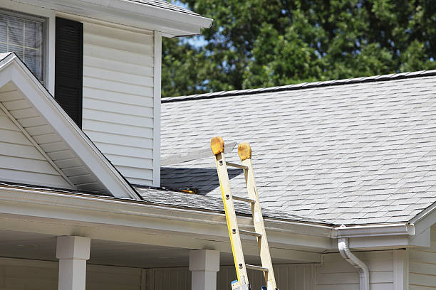 Best Historical Building Siding Restoration  in Fort Deposit, AL